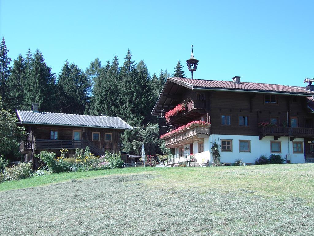 Mitterhaidgut Villa Hollersbach im Pinzgau Buitenkant foto
